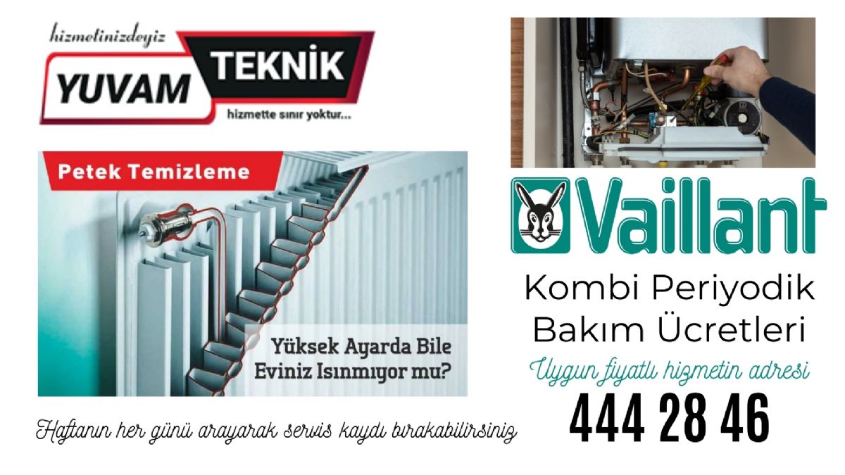 Vaillant Kombi Periyodik Bakım Ücreti 